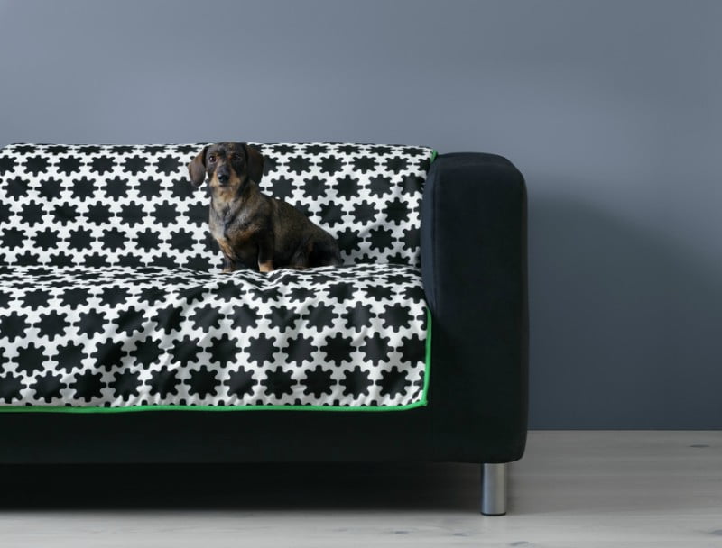 IKEA cria gama para animais em parceria com veterinários