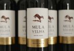 Quinta do Gradil chega à nova carta de vinhos da TAP