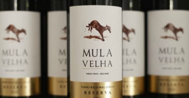 Quinta do Gradil chega à nova carta de vinhos da TAP
