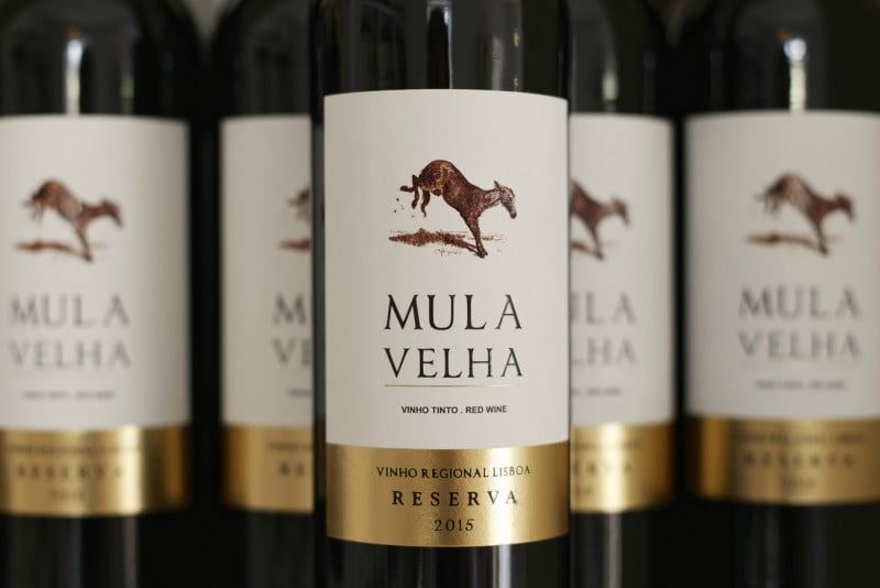 Quinta do Gradil chega à nova carta de vinhos da TAP