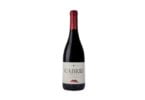 Cabriz Colheita Selecionada Tinto 2015 distinguido pela relação qualidade-preço