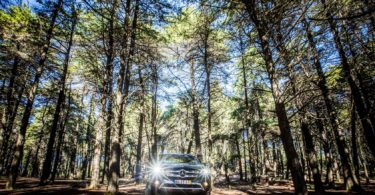 Mercedes DH