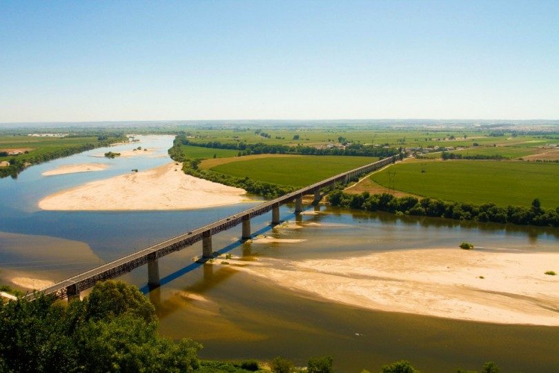 Vinhos do Tejo crescem acima do previsto