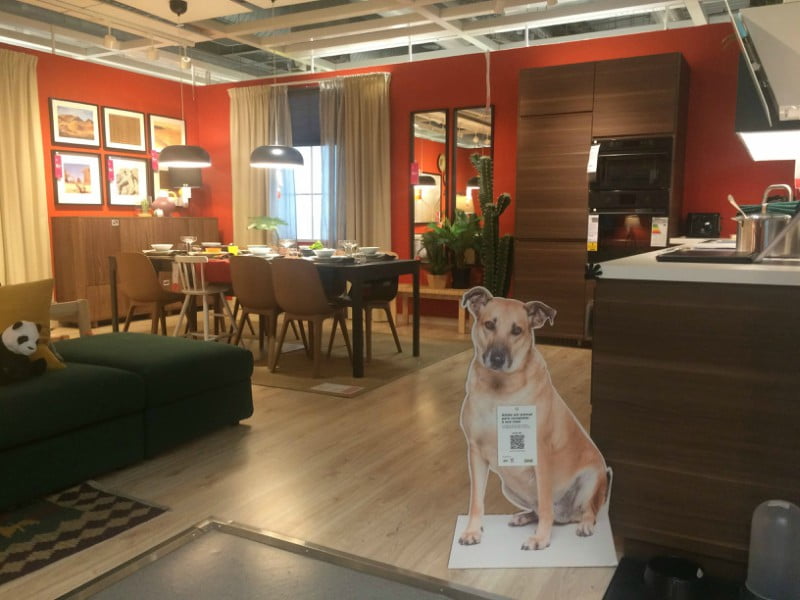 IKEA promove a adoção de animais