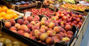 Exportações de produtos agroalimentares da UE atingem novo “recorde” em 2017