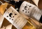 Vinhos Andorinha do Mar conceito