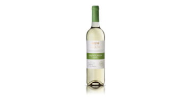Quinta da Alorna lança novas colheitas monocasta