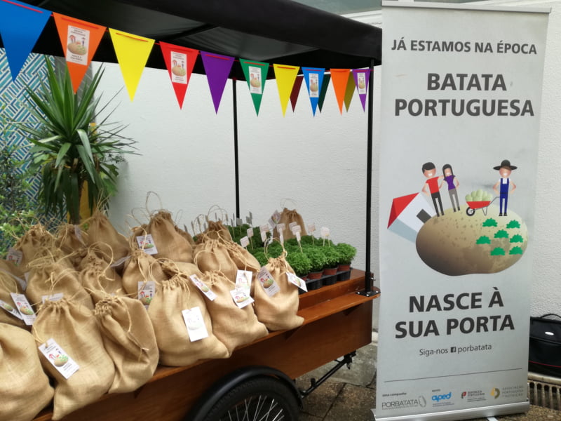 Porbatata e APED promovem consumo de batata nacional