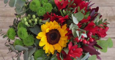 Colvin bouquet à portuguesa Distribuição Hoje