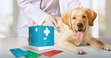 ZU lança plano de saúde anual para cães e gatos