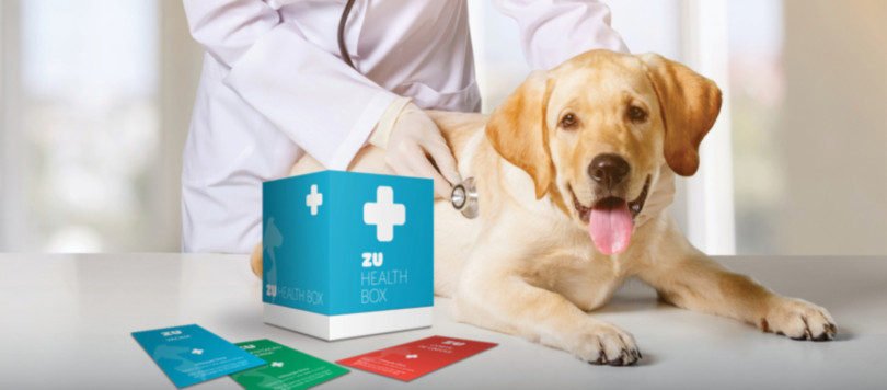 ZU lança plano de saúde anual para cães e gatos