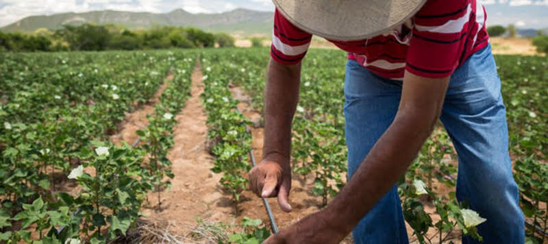 Colaboradores da C&A apoiam desenvolvimento sustentável com 1 M€