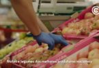 Continente Frescos Frutas e Legumes