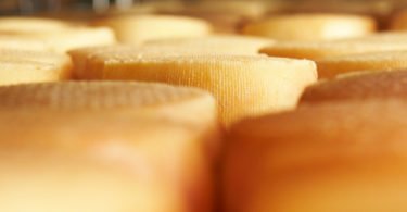 Requeijão Serra da Estrela DOP galardoado no World Cheese Awards