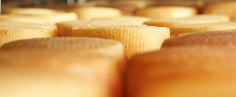 Requeijão Serra da Estrela DOP galardoado no World Cheese Awards