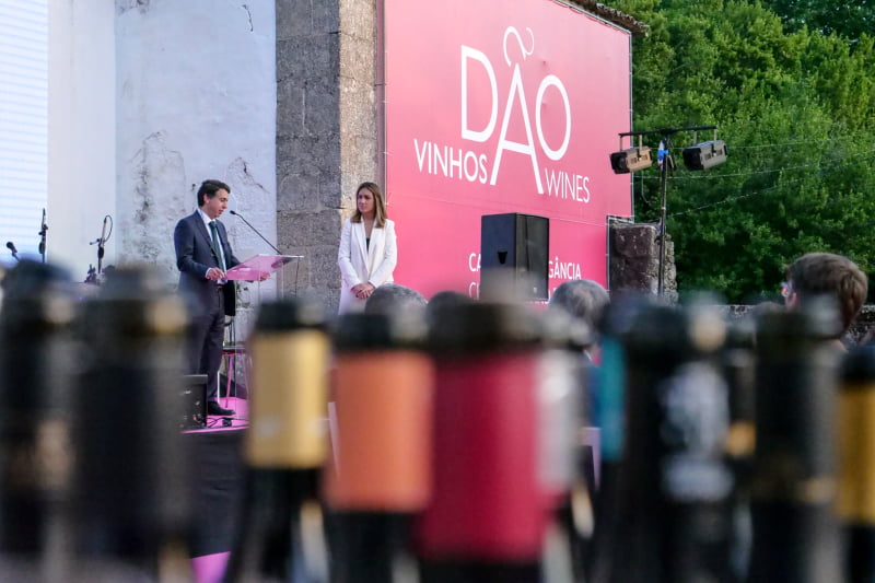 Já são conhecidos os melhores vinhos do Dão