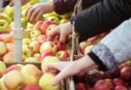Aprovada lei que obriga cantinas públicas a dar preferência a produtos locais
