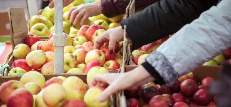 Aprovada lei que obriga cantinas públicas a dar preferência a produtos locais