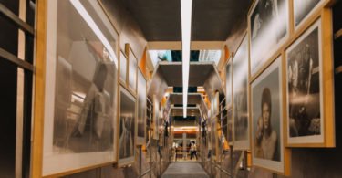 Arrábida Shopping será palco da exposição ‘Iconic Bowie’