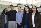 Investigadores portugueses desenvolvem molécula natural para substituir estireno