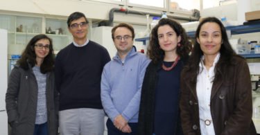 Investigadores portugueses desenvolvem molécula natural para substituir estireno