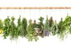 Serão as ervas aromáticas a solução para o consumo excessivo de sal?