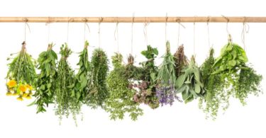 Serão as ervas aromáticas a solução para o consumo excessivo de sal?