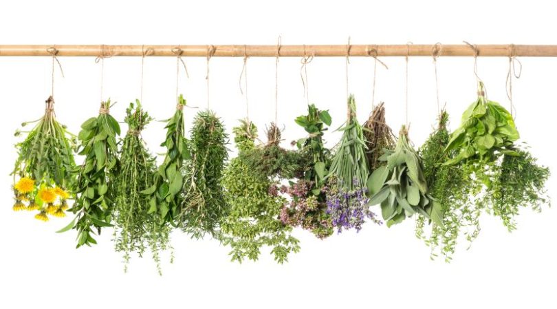 Serão as ervas aromáticas a solução para o consumo excessivo de sal?