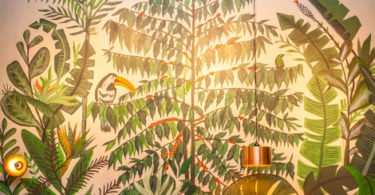 Starbucks Parque das Nações Distribuição Hoje