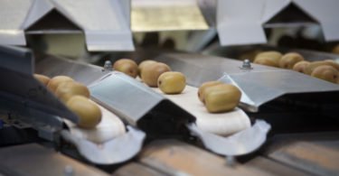Mercadona comprou mais de 2,5 toneladas de kiwi nacional em 2018