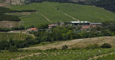 Sogrape compra Quinta da Romeira