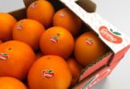 Frusoal lança duas novas marcas para “valorizar citrinos do Algarve”