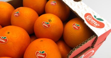 Frusoal lança duas novas marcas para “valorizar citrinos do Algarve”