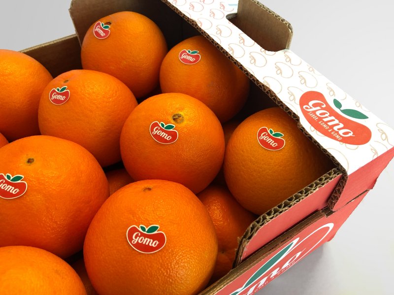 Frusoal lança duas novas marcas para “valorizar citrinos do Algarve”