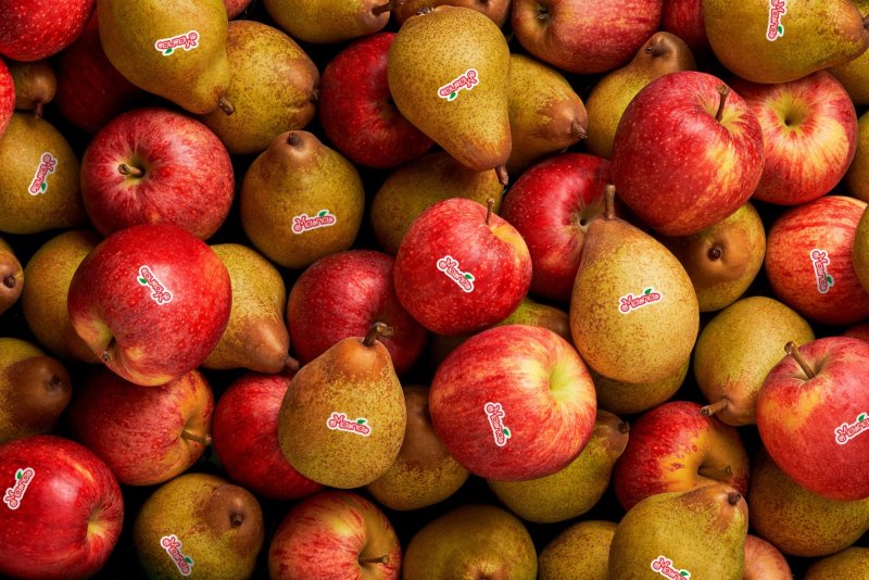 Maria: a marca do Grupo Luís Vicente para “seduzir os consumidores”