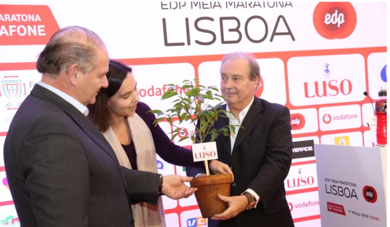 Luso vai ajudar a reflorestar a Serra do Bussaco