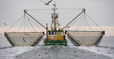 pescas