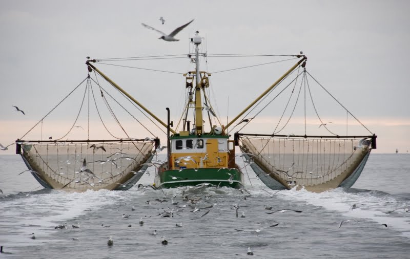 pescas