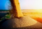 Preços dos alimentos em alta, revela FAO
