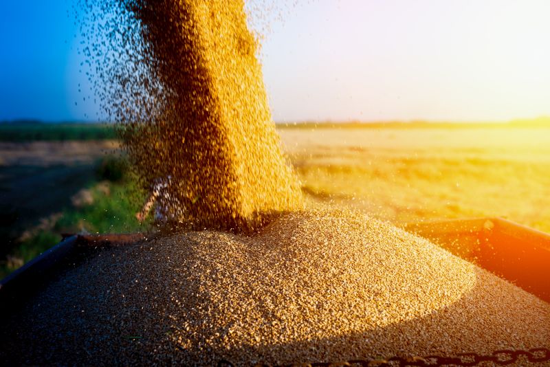 Preços dos alimentos em alta, revela FAO