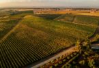 Herdade Grande com nova equipa de enologia, novos vinhos e... novo website