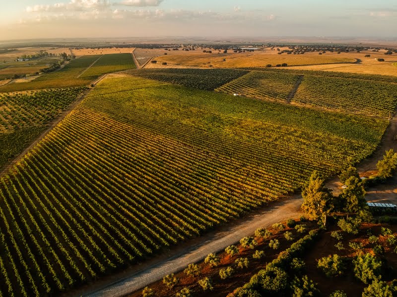 Herdade Grande com nova equipa de enologia, novos vinhos e... novo website