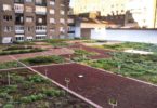 Mercadona “alimenta” boa vizinhança_5