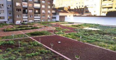 Mercadona “alimenta” boa vizinhança_5