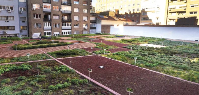 Mercadona “alimenta” boa vizinhança_5