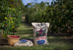UCC Coffee pretende afirmar-se no mercado português