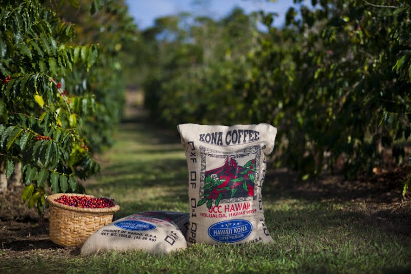 UCC Coffee pretende afirmar-se no mercado português