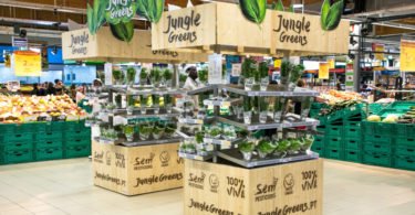 Loja Auchan de Sintra recebe certificação ambiental