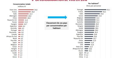 Produção mundial de vinho atinge  mhl e Portugal destaca se no consumo per capita