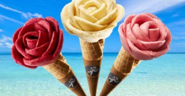 Amorino lança trio de gelados vegan
